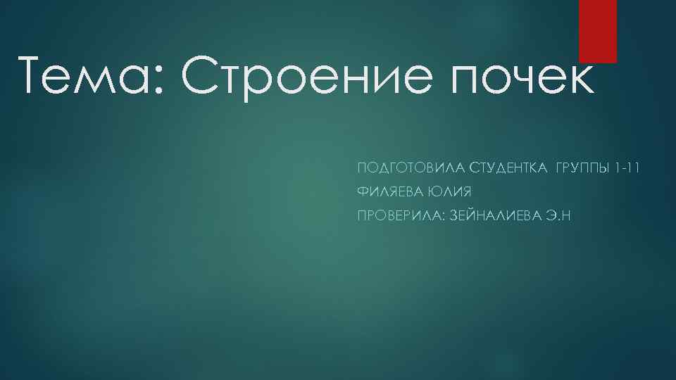 Тема: Строение почек ПОДГОТОВИЛА СТУДЕНТКА ГРУППЫ 1 -11 ФИЛЯЕВА ЮЛИЯ ПРОВЕРИЛА: ЗЕЙНАЛИЕВА Э. Н