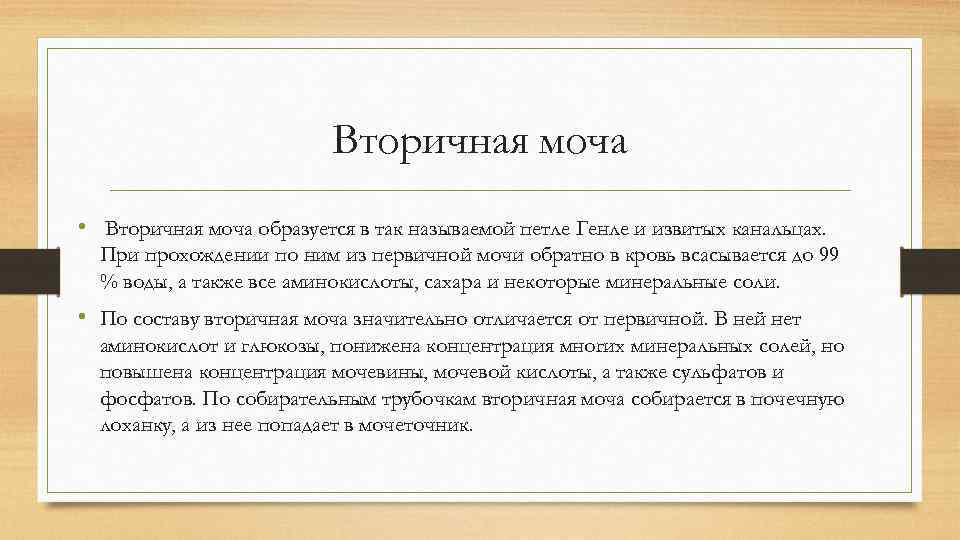 Вторичная моча • Вторичная моча образуется в так называемой петле Генле и извитых канальцах.
