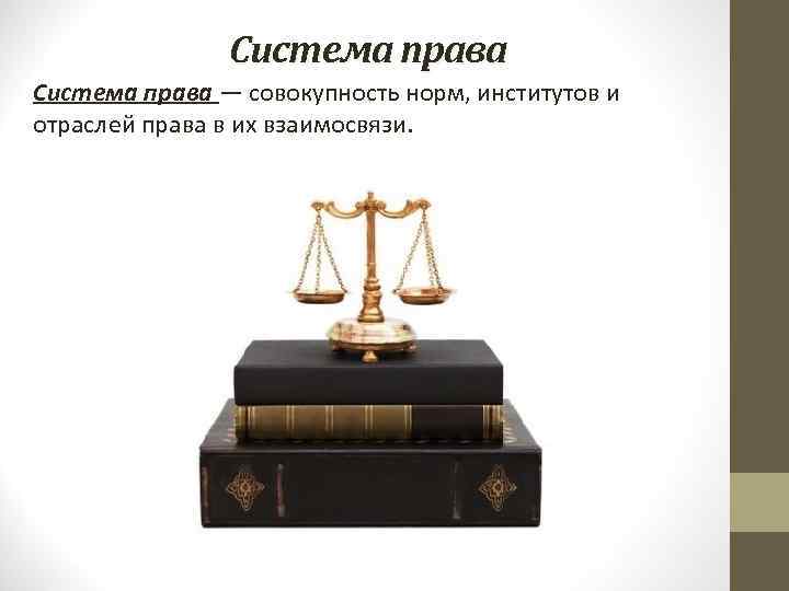 Система права — совокупность норм, институтов и отраслей права в их взаимосвязи. 