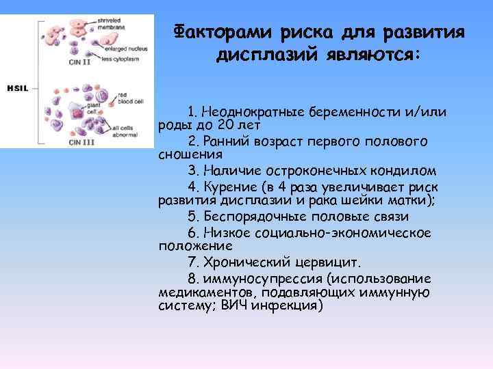 Факторами риска для развития дисплазий являются: 1. Неоднократные беременности и/или роды до 20 лет