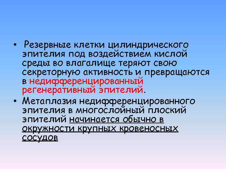  • Резервные клетки цилиндрического эпителия под воздействием кислой среды во влагалище теряют свою