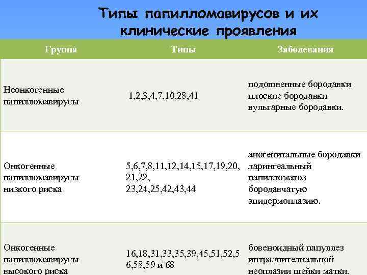 Типы папилломавирусов и их клинические проявления Группа Типы Заболевания подошвенные бородавки плоские бородавки вульгарные