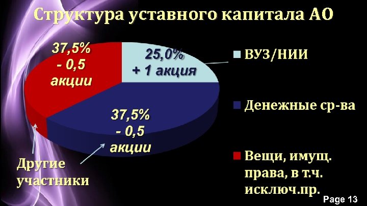 Структура уставного капитала АО Page 13 
