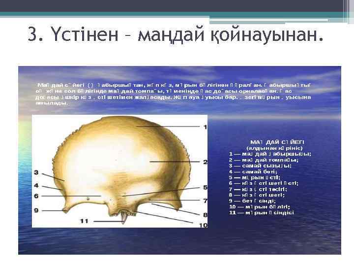 3. Үстінен – маңдай қойнауынан. 