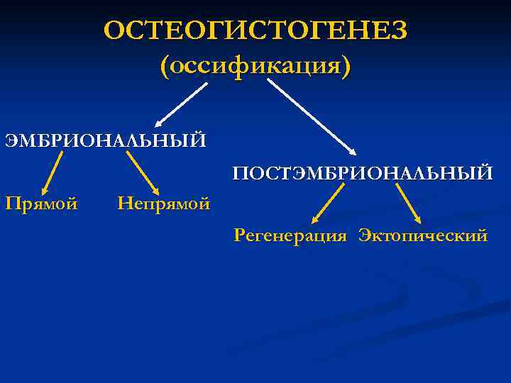 ОСТЕОГИСТОГЕНЕЗ (оссификация) ЭМБРИОНАЛЬНЫЙ ПОСТЭМБРИОНАЛЬНЫЙ Прямой Непрямой Регенерация Эктопический 