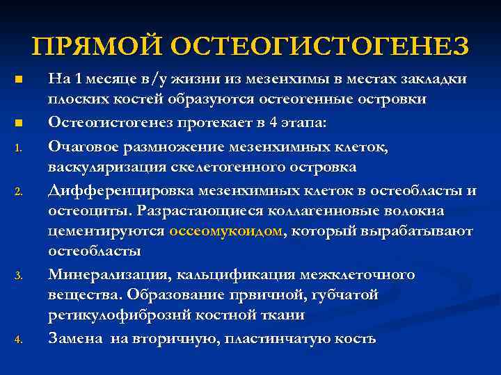 ПРЯМОЙ ОСТЕОГИСТОГЕНЕЗ n n 1. 2. 3. 4. На 1 месяце в/у жизни из