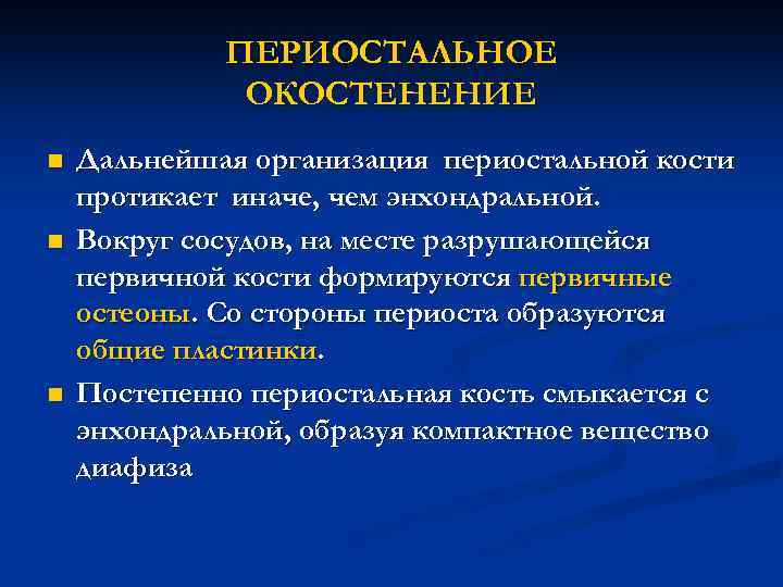 ПЕРИОСТАЛЬНОЕ ОКОСТЕНЕНИЕ n n n Дальнейшая организация периостальной кости протикает иначе, чем энхондральной. Вокруг