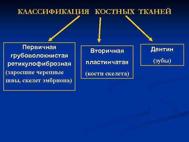 КЛАССИФИКАЦИЯ КОСТНЫХ ТКАНЕЙ Первичная грубоволокнистая ретикулофиброзная (заросшие черепные швы, скелет эмбриона) Вторичная Дентин пластинчатая