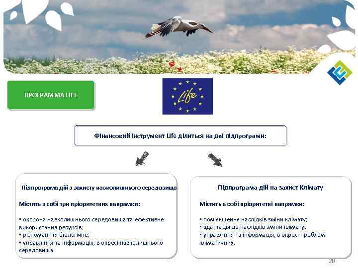 ПРОГРАММА LIFE Фінансовий інструмент Life ділиться на дві підпрограми: Підпрограма дій з захисту навколишнього