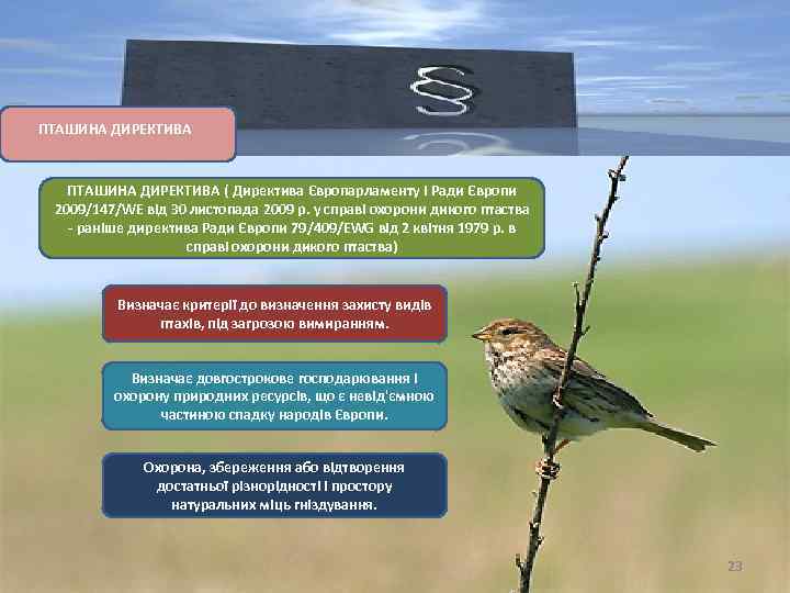 ПТАШИНА ДИРЕКТИВА ( Директива Європарламенту і Ради Європи 2009/147/WE від 30 листопада 2009 р.