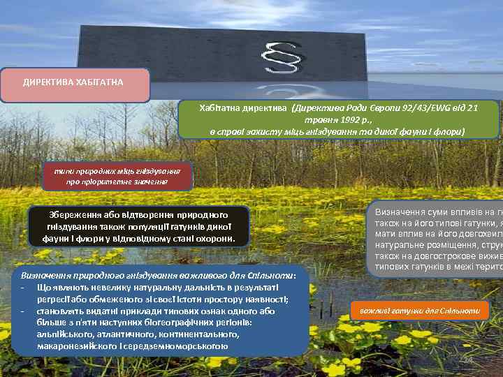ДИРЕКТИВА ХАБІТАТНА Хабітатна директива (Директива Ради Європи 92/43/EWG від 21 травня 1992 р. ,
