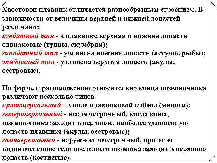 Хвостовой плавник отличается разнообразным строением. В зависимости от величины верхней и нижней лопастей различают: