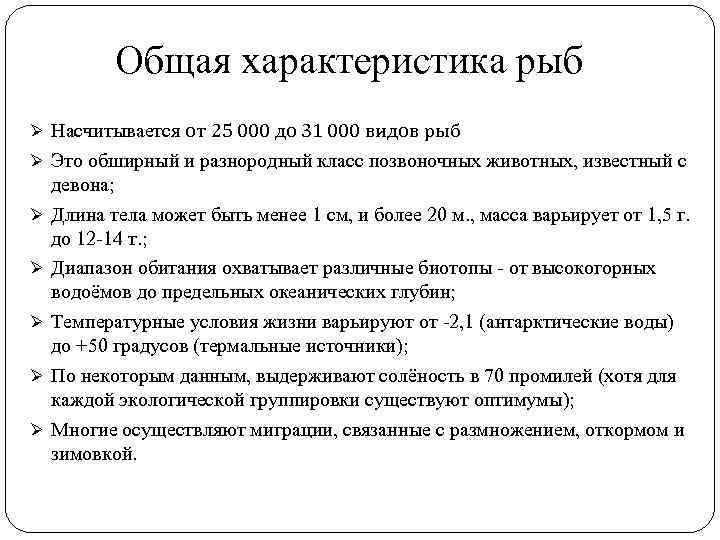 Общая характеристика рыб Ø Насчитывается от 25 000 до 31 000 видов рыб Ø