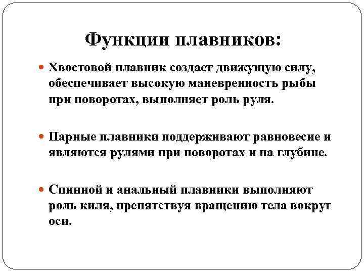 Функции плавников: Хвостовой плавник создает движущую силу, обеспечивает высокую маневренность рыбы при поворотах, выполняет