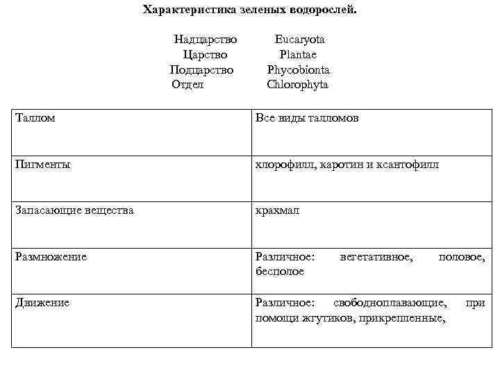 Характеристика зеленых водорослей. Надцарство Eucaryota Царство Plantae Подцарство Phycobionta Отдел Chlorophyta Таллом Все виды