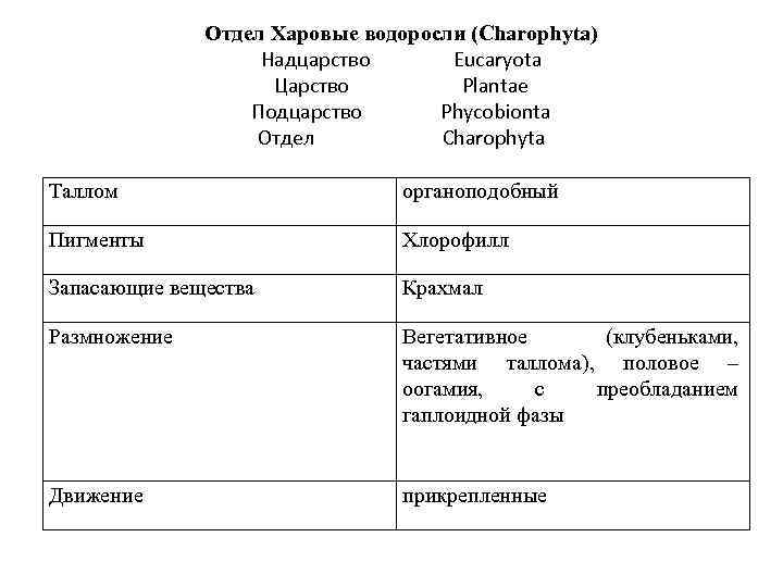 Отдел Харовые водоросли (Charophyta) Надцарство Eucaryota Царство Plantae Подцарство Phycobionta Отдел Charophyta Таллом органоподобный