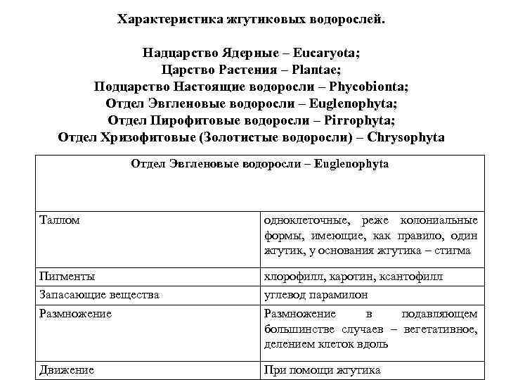 Характеристика жгутиковых водорослей. Надцарство Ядерные – Eucaryota; Царство Растения – Plantae; Подцарство Настоящие водоросли