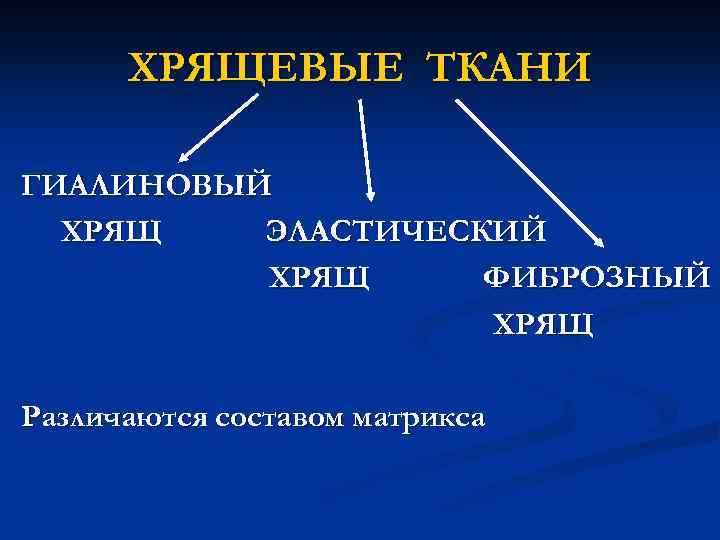 Культуры перевиваемых тканей характеризуются. Хрящевой Матрикс состав.