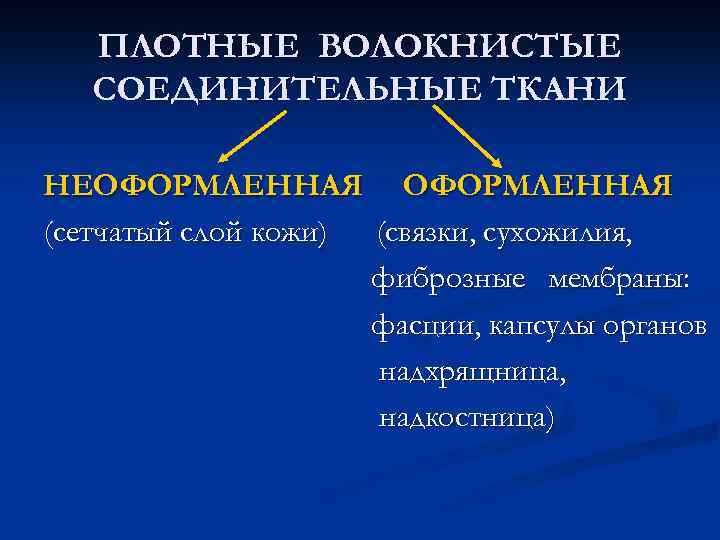 ПЛОТНЫЕ ВОЛОКНИСТЫЕ СОЕДИНИТЕЛЬНЫЕ ТКАНИ НЕОФОРМЛЕННАЯ (сетчатый слой кожи) (связки, сухожилия, фиброзные мембраны: фасции, капсулы