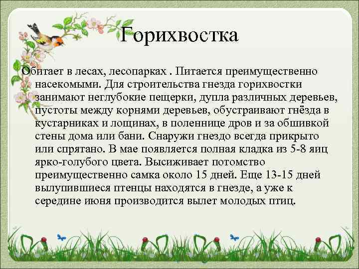 Горихвостка Обитает в лесах, лесопарках. Питается преимущественно насекомыми. Для строительства гнезда горихвостки занимают неглубокие