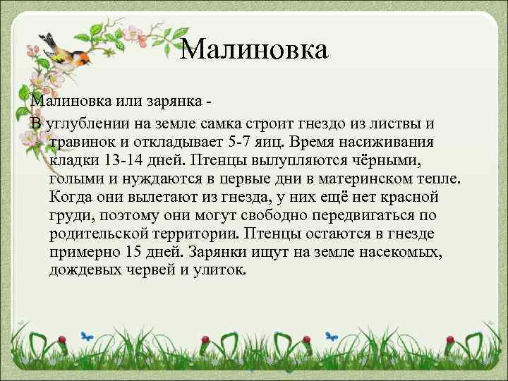 Малиновка или зарянка В углублении на земле самка строит гнездо из листвы и травинок