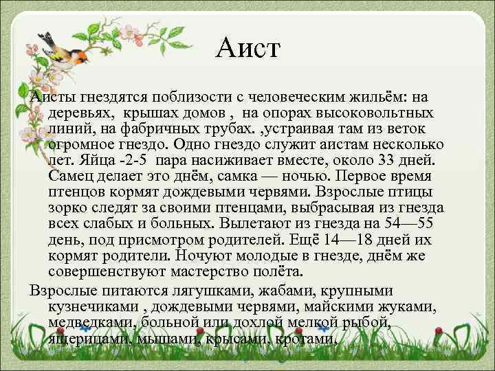 Аисты гнездятся поблизости с человеческим жильём: на деревьях, крышах домов , на опорах высоковольтных