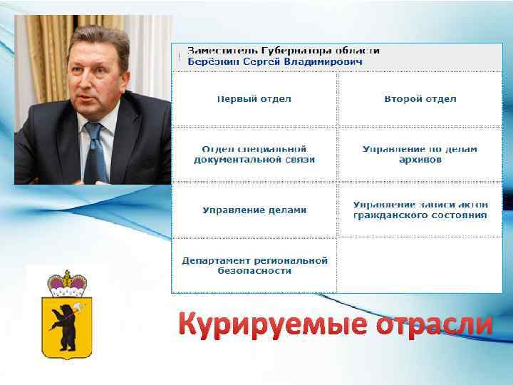 Курируемые отрасли 