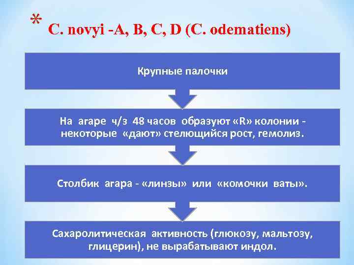 * C. novyi -A, B, C, D (C. odematiens) Крупные палочки На агаре ч/з