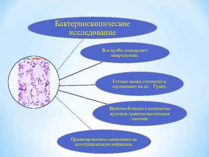 Бактериоскопическое исследование Все пробы подвергают микроскопии. Готовят мазки-отпечатки и окрашивают их по Граму. Наличие