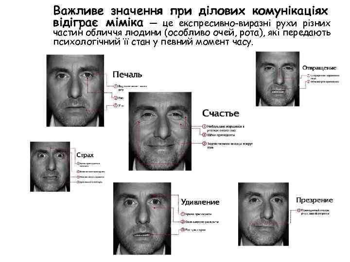 Важливе значення при ділових комунікаціях відіграє міміка — це експресивно-виразні рухи різних частин обличчя