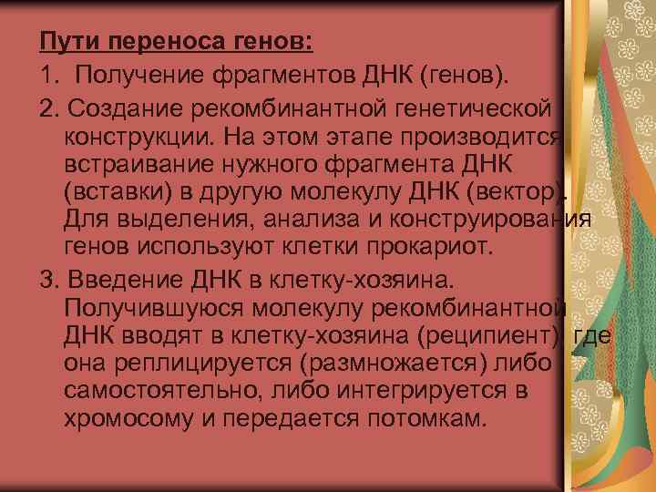 Пути переноса генов: 1. Получение фрагментов ДНК (генов). 2. Создание рекомбинантной генетической конструкции. На