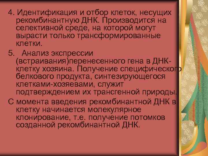 4. Идентификация и отбор клеток, несущих рекомбинантную ДНК. Производится на селективной среде, на которой
