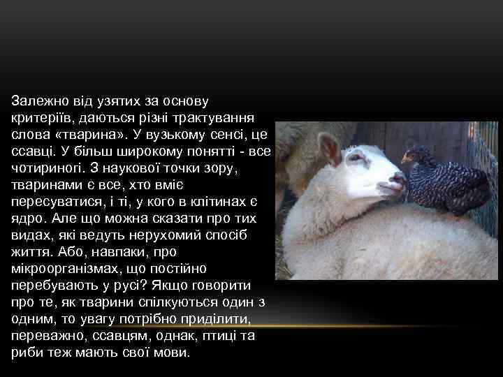 Залежно від узятих за основу критеріїв, даються різні трактування слова «тварина» . У вузькому