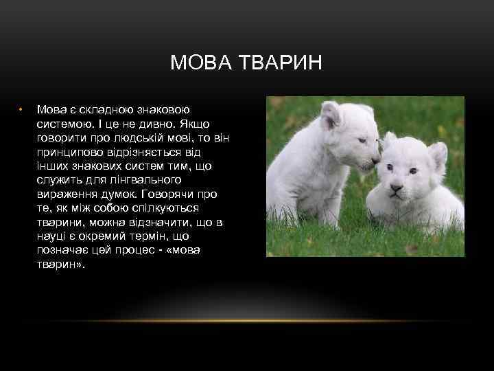 МОВА ТВАРИН • Мова є складною знаковою системою. І це не дивно. Якщо говорити