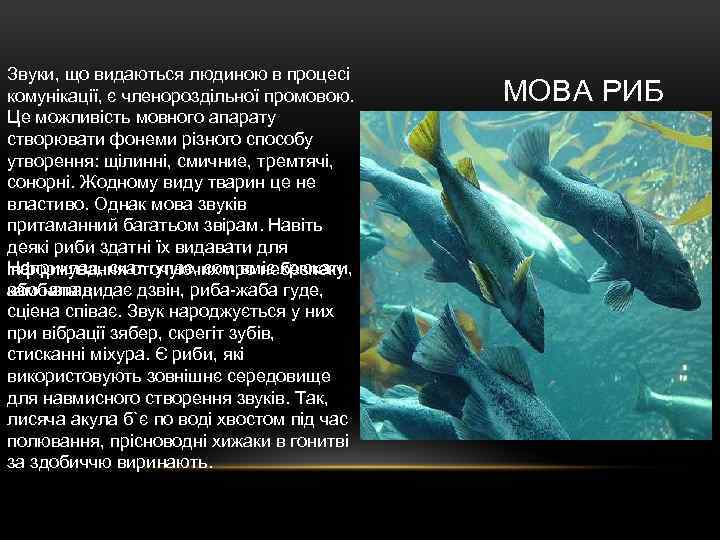 Звуки, що видаються людиною в процесі комунікації, є членороздільної промовою. Це можливість мовного апарату