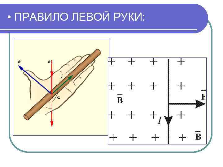  • ПРАВИЛО ЛЕВОЙ РУКИ: 