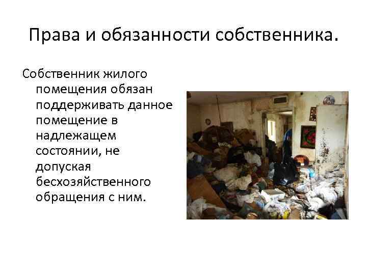 Права и обязанности собственника. Собственник жилого помещения обязан поддерживать данное помещение в надлежащем состоянии,