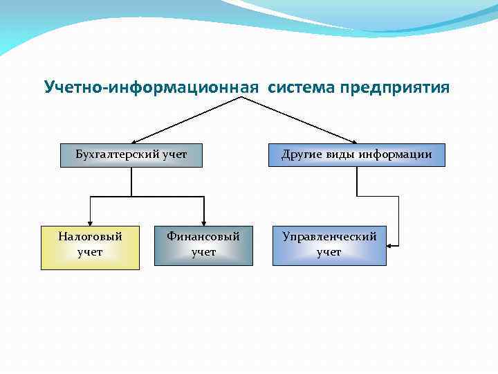 Учетно-информационная система предприятия Бухгалтерский учет Налоговый учет Финансовый учет Другие виды информации Управленческий учет