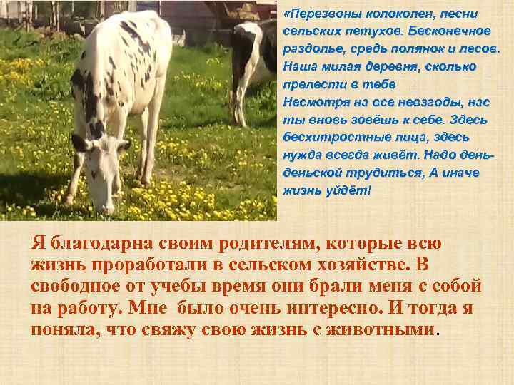  «Перезвоны колоколен, песни сельских петухов. Бесконечное раздолье, средь полянок и лесов. Наша милая