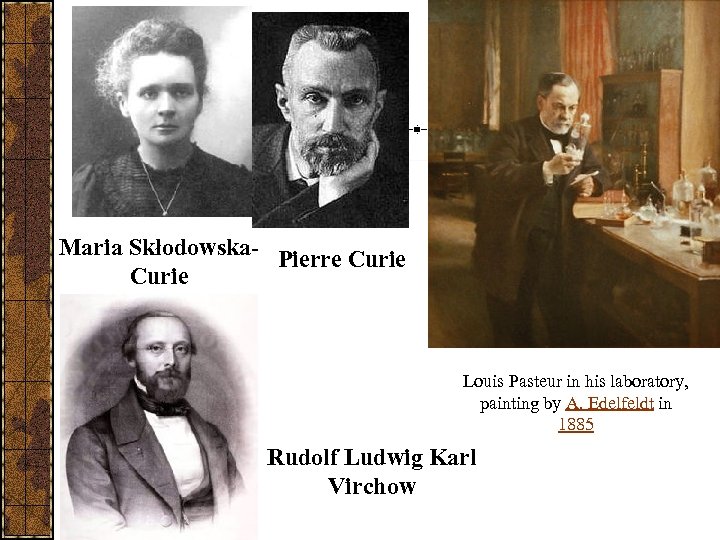 Maria Skłodowska- Pierre Curie Louis Pasteur in his laboratory, painting by A. Edelfeldt in