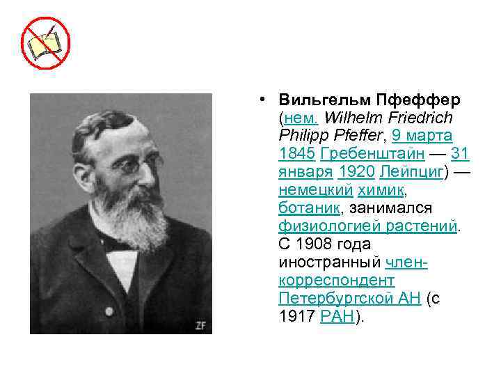  • Вильгельм Пфеффер (нем. Wilhelm Friedrich Philipp Pfeffer, 9 марта 1845 Гребенштайн —