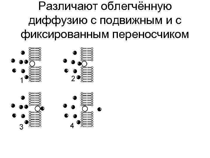 Различают облегчённую диффузию с подвижным и с фиксированным переносчиком 