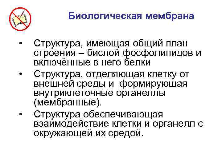 Биологическая мембрана • • • Структура, имеющая общий план строения – бислой фосфолипидов и