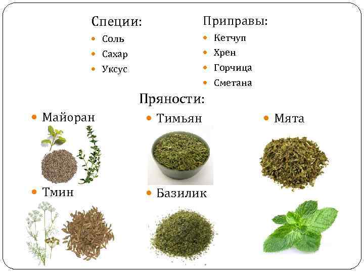 Специи: Приправы: Соль Кетчуп Сахар Хрен Уксус Горчица Сметана Пряности: Майоран Тимьян Тмин Базилик