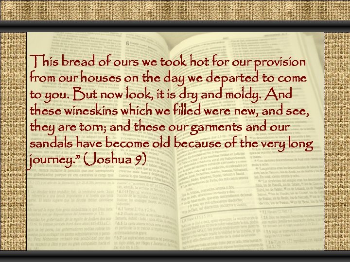 This bread of ours we took hot for our provision from our houses on