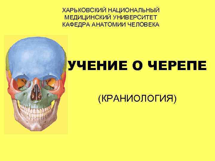 ХАРЬКОВСКИЙ НАЦИОНАЛЬНЫЙ МЕДИЦИНСКИЙ УНИВЕРСИТЕТ КАФЕДРА АНАТОМИИ ЧЕЛОВЕКА УЧЕНИЕ О ЧЕРЕПЕ (КРАНИОЛОГИЯ) 