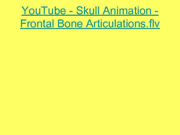 You. Tube - Skull Animation Frontal Bone Articulations. flv 