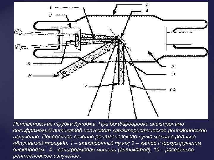 Рентгеновская трубка Кулиджа. При бомбардировке электронами вольфрамовый антикатод испускает характеристическое рентгеновское излучение. Поперечное сечение