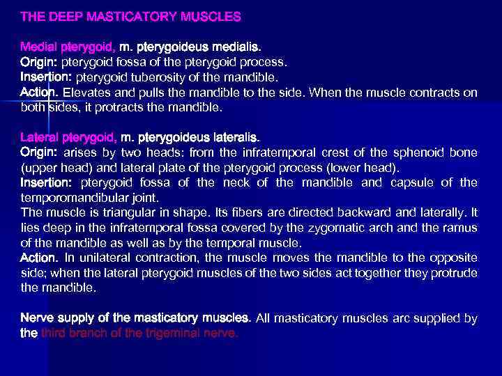 THE DEEP MASTICATORY MUSCLES Medial pterygoid, m. pterygoideus medialis. Origin: pterygoid fossa of the