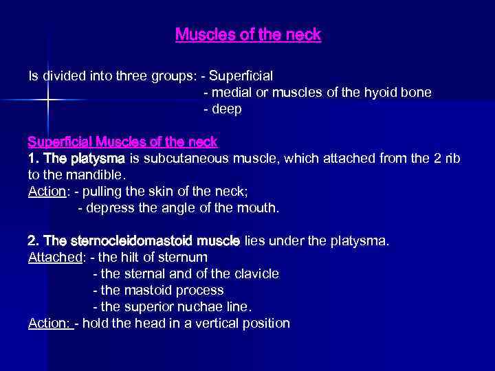 Muscles of the neck Is divided into three groups: - Superficial - medial or